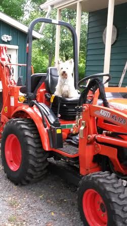 Maisy_tractor_2.jpg