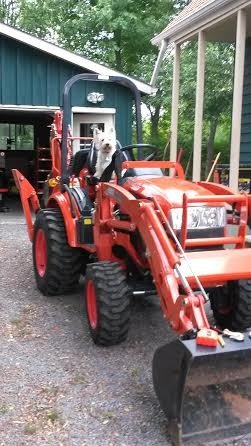 maisy_tractor_zpsr6w18ibb_0ccf697bd696de9a5da006e32c3061d9303010a0.jpg