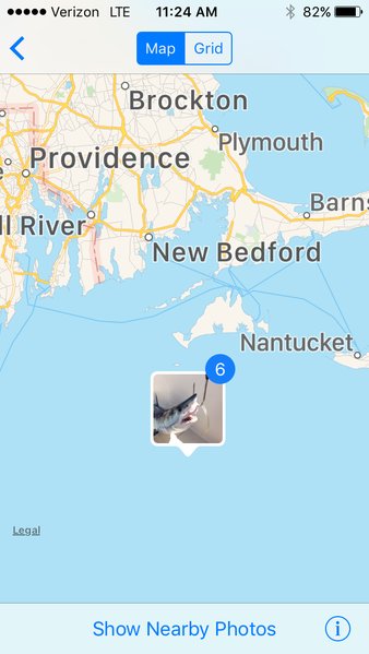 mako south of MV.jpg