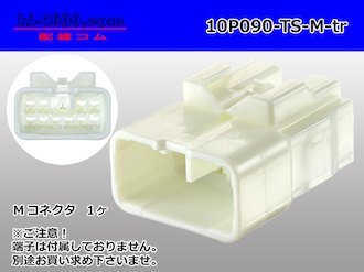 Male 10 Pin Connector.jpg