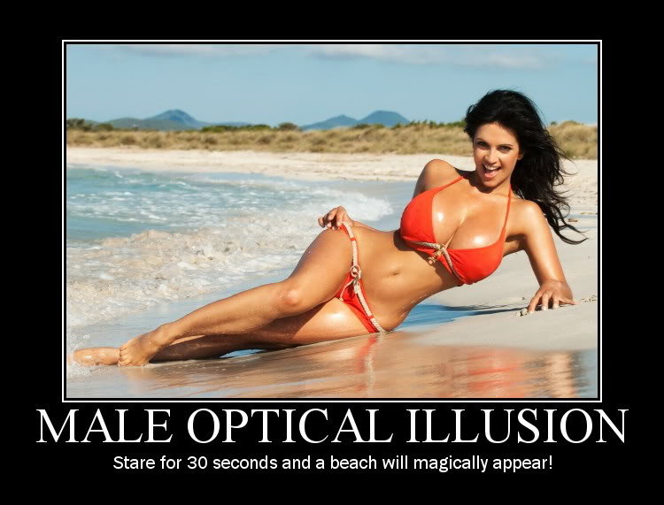 maleopticalillusion_e6f1be9ecbcbedffa475ee21b888193450c9c8b5.jpg
