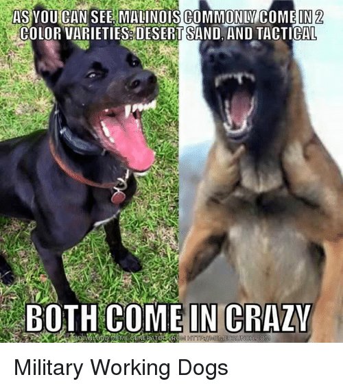 malinoiscome-in-2-.jpg
