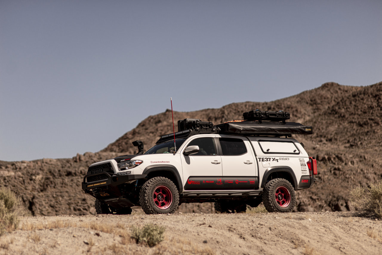 MALLOW_TRONA_20_132.jpg