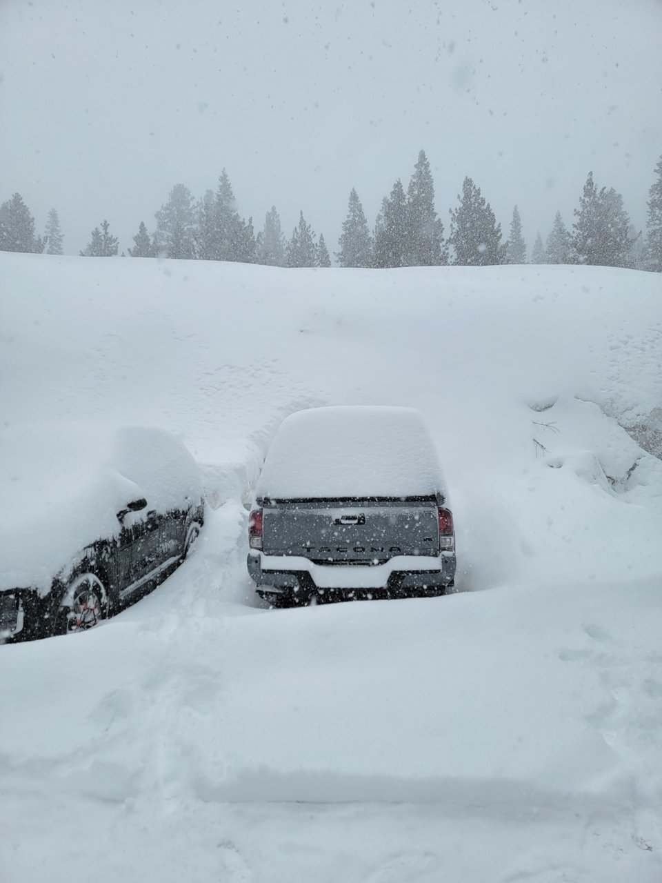 Mammoth Snow.jpg