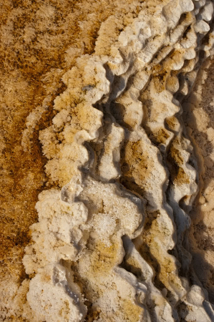 mammoth1_cba597a26af0c76436dac52b0ca1bae5d4f4288d.jpg