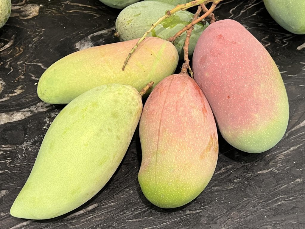 mango2.jpg
