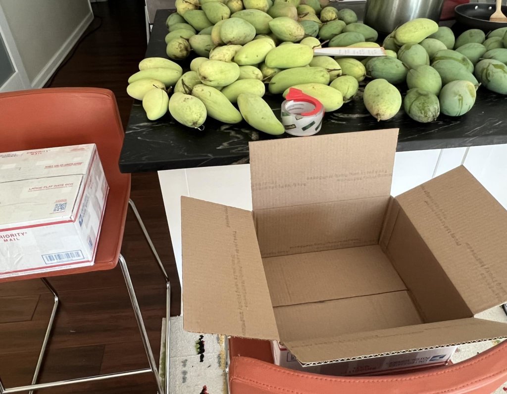 mangos.jpg