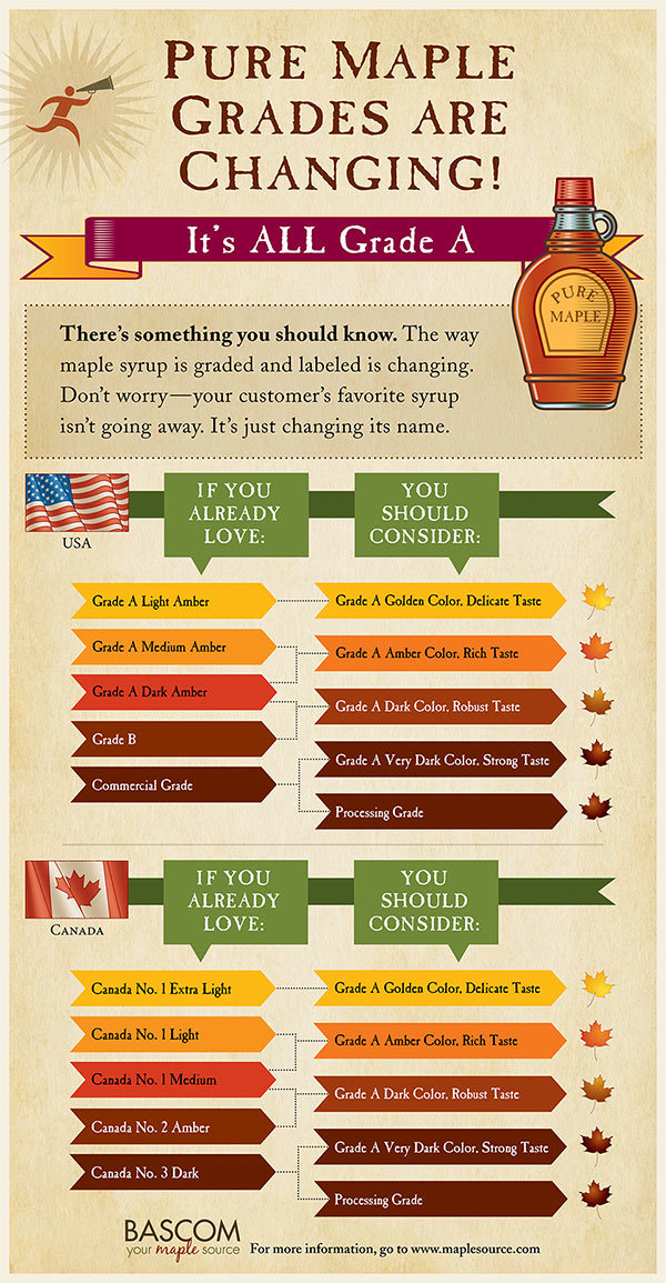 Maple_Grades_Informational_Graphic_Bascom-single.jpg