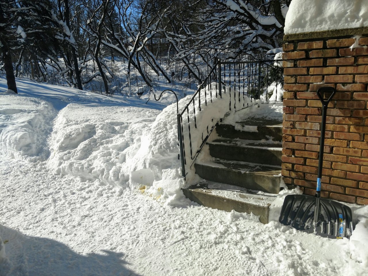 March 3 steps.jpg
