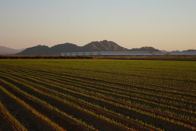 maricopa_a53542fa8c027eab0f91b6b537c68c070050c519.jpg