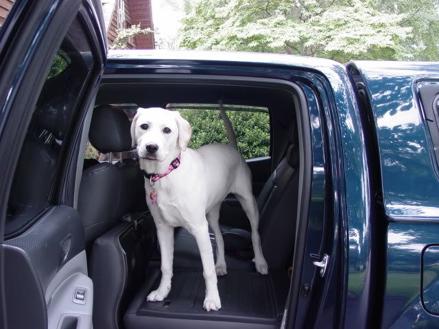 Marley006_6ccc40cb8cd9476a80cfd5e37ae9cf3d10b26ee1.jpg