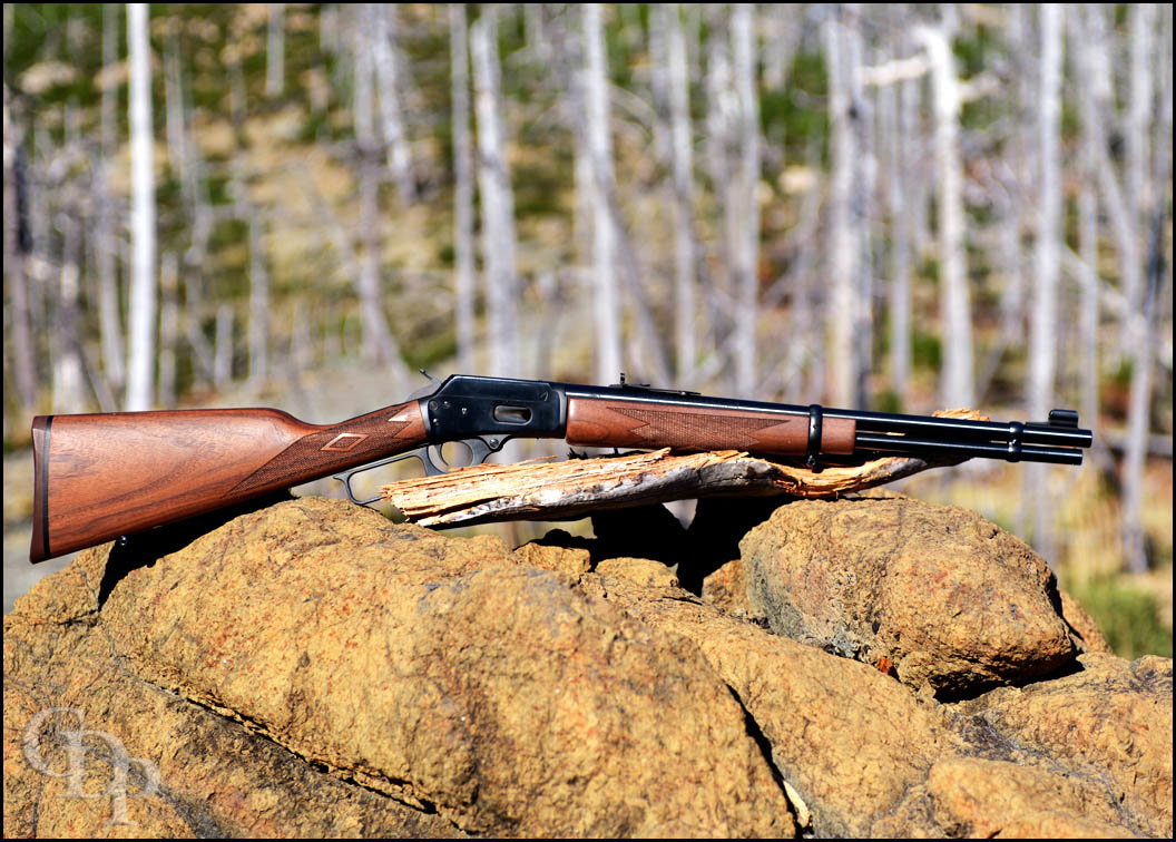 marlin_1894_20_7250.jpg