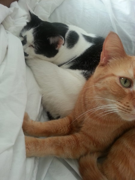 Mavy and Goose.jpg