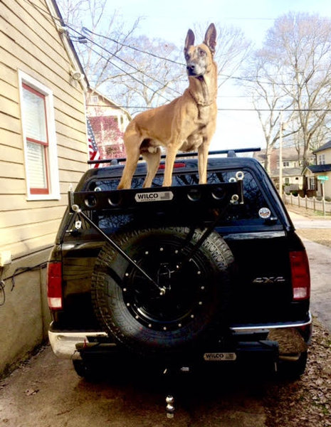 Max Basket Tundra Cargo Dog.jpg