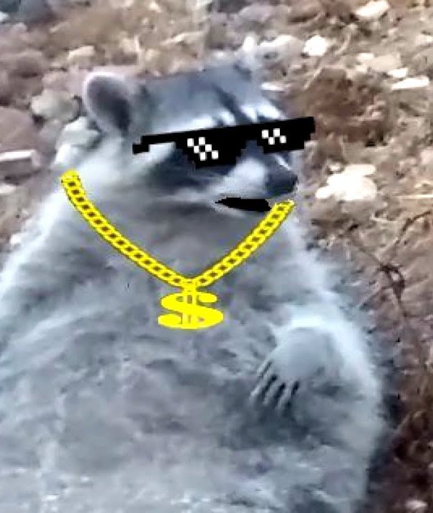 maxresdefault.jpg