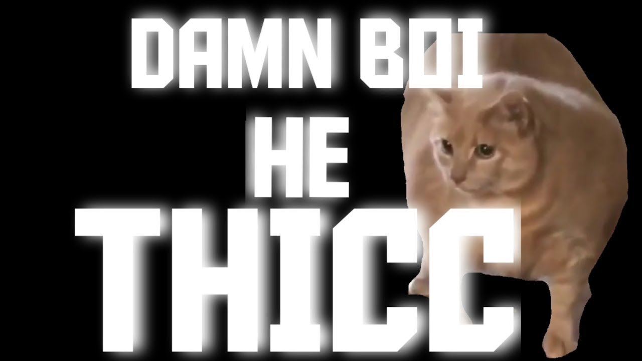 maxresdefault.jpg