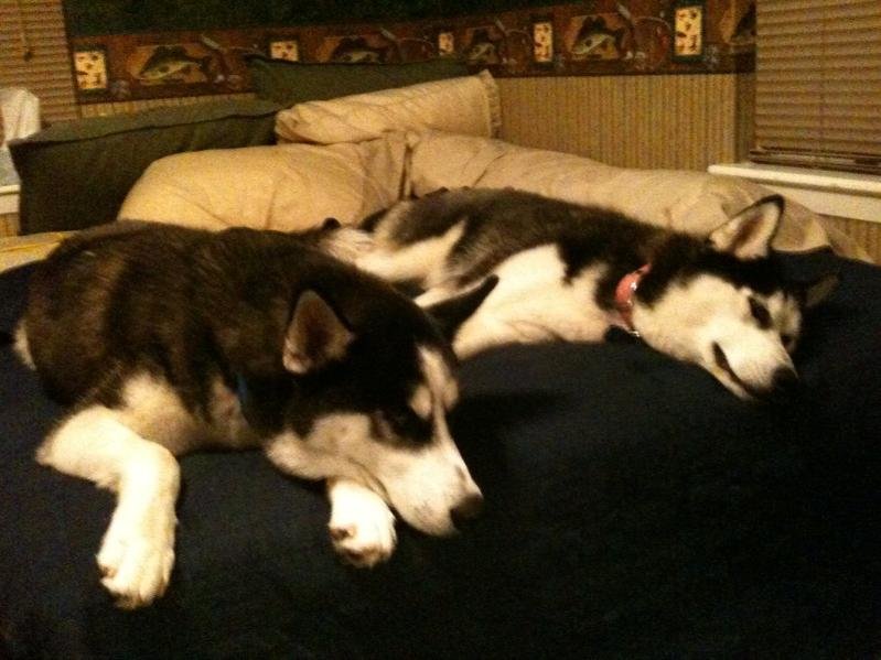 maya and blaize.jpg