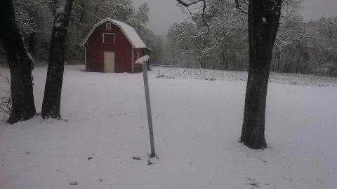 maysnow_6084885af2b6620b782ea866a17afbfed2e85f1b.jpg