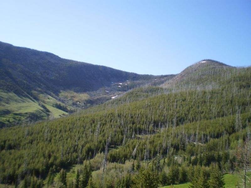 mccleelanck_zps55c3e43b_9d1f5177f0e159cf0dd688353d8c3ccd6ee3bf9e.jpg