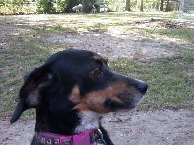 McKenzy(Itsy)2.jpg