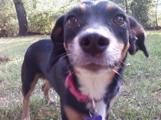 McKenzy(Itsy).jpg