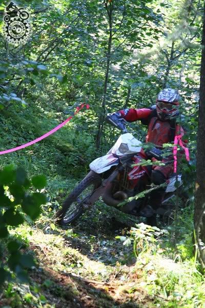 Mcleancreek_ad204151d8e173dbb351cc742a1ffbac7d426976.jpg