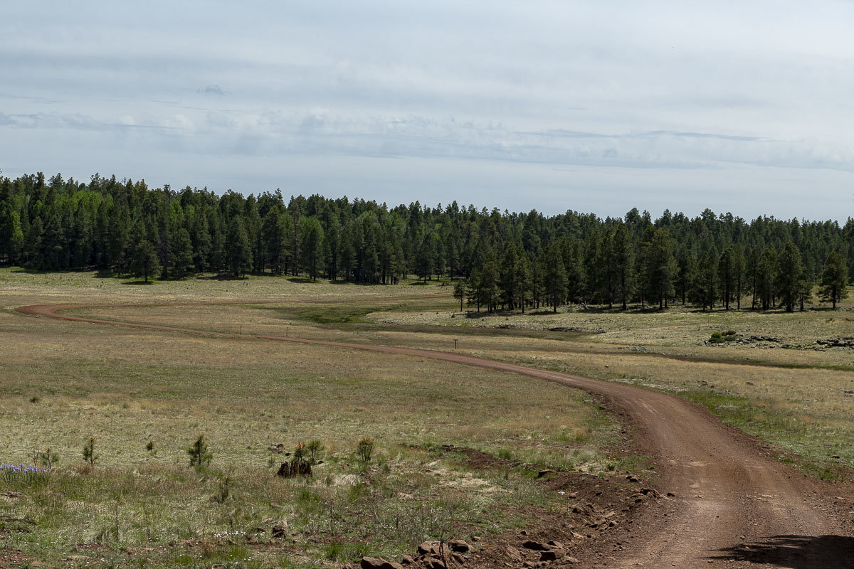 McNary to Vernon White Mtns-3.jpg