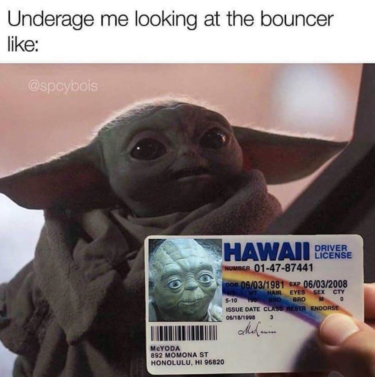 McYoda Meme.jpg