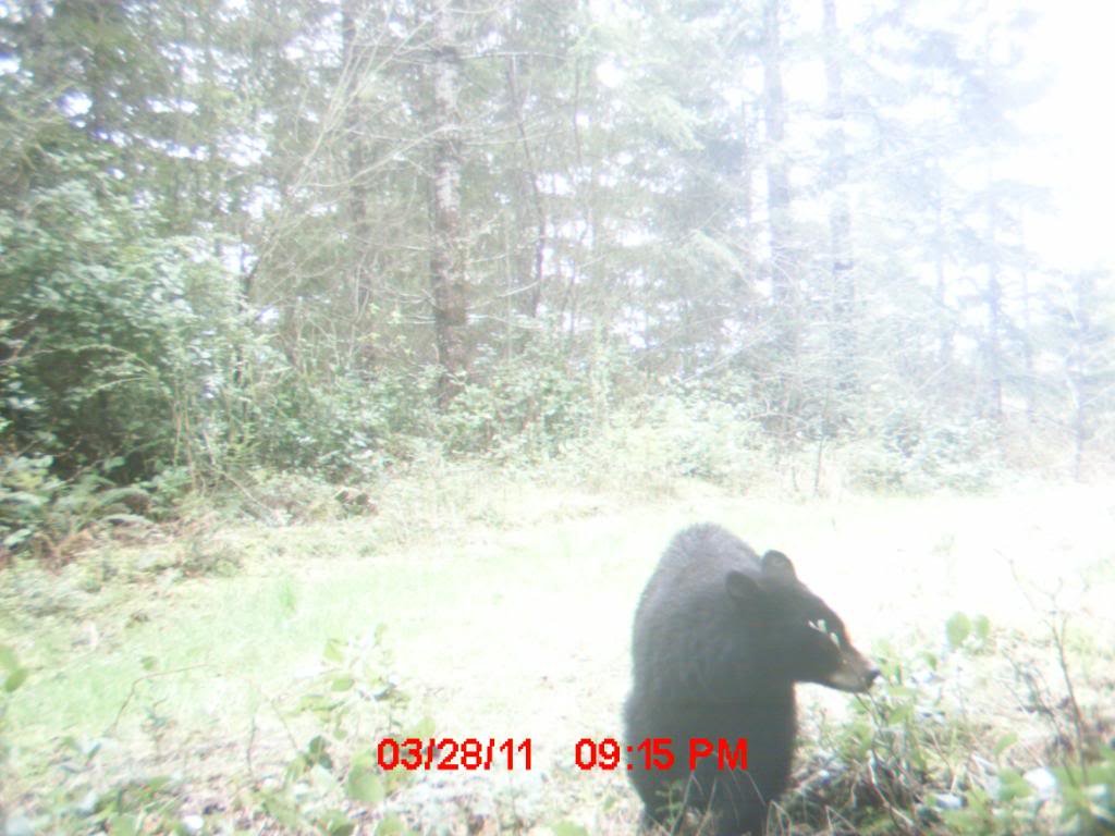 MDGC0024_c2d41c37c9b77013157528881e6c892d9f576ad4.jpg
