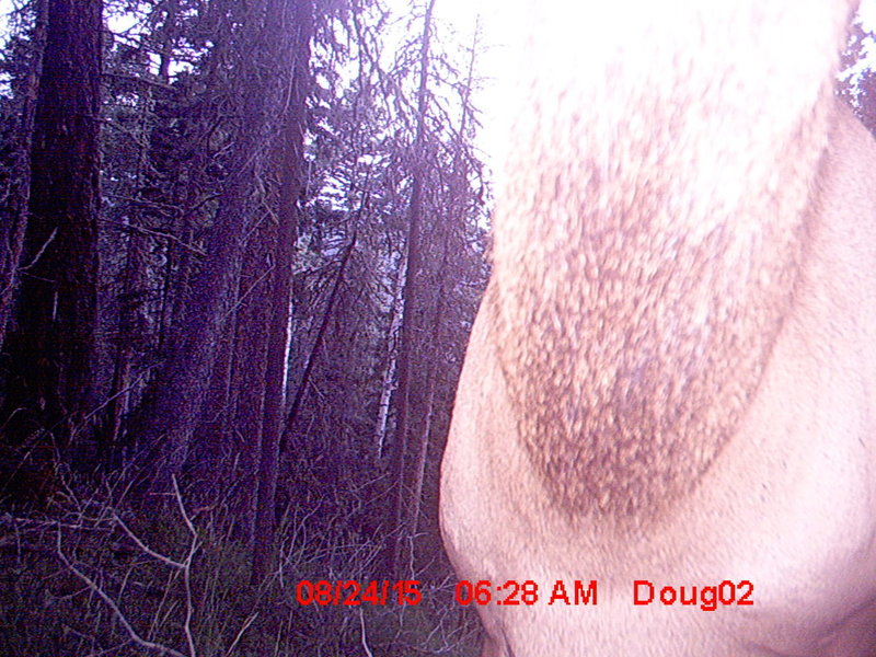 MDGC0029.jpg