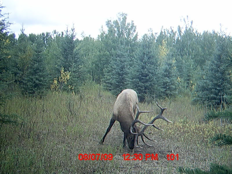 MDGC0118_fc4ebcf1783090eacb946993a37d5ba087ea7736.jpg