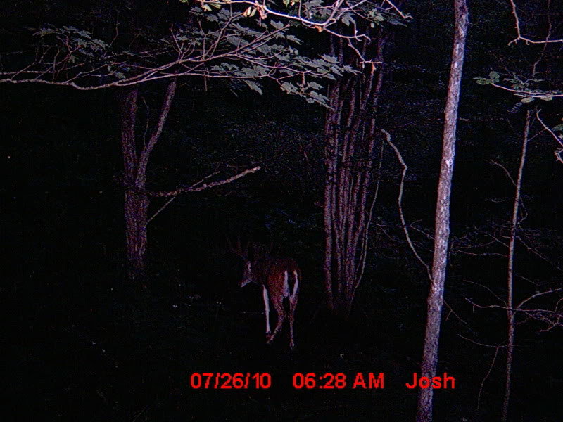 MDGC0177_04ba44d3604ef428ab44b549460d6458264d7ef0.jpg