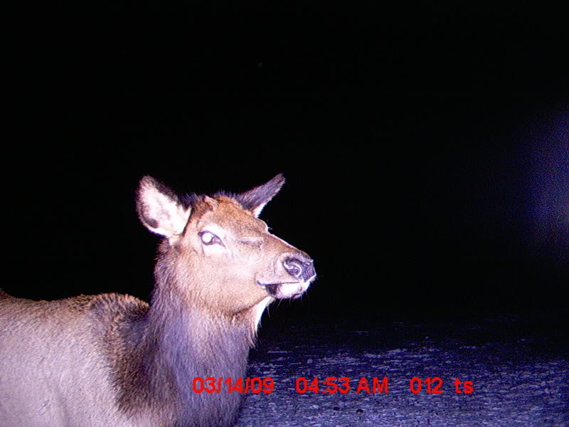 MDGC0183_f7cbe54d1a018edbb979d129e81366ba74bd2f1a.jpg