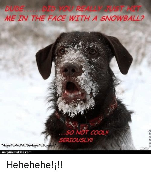 me-in-the-face-with-a-snowball-so-not-cool-8902180.jpg
