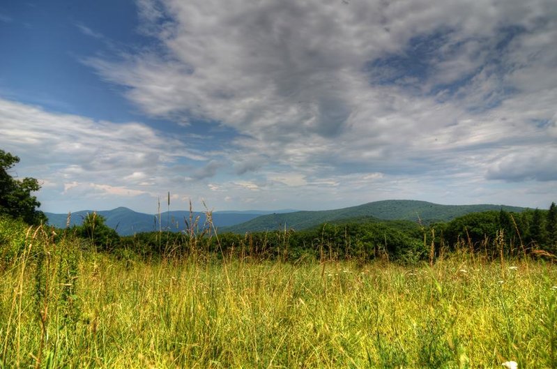 meadow knob HDR.jpg
