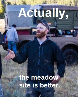 meadow site.jpg