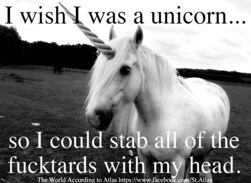 Mean Unicorn.jpg