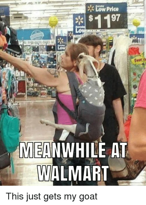 meanwhile-at-walmart-this-just-gets-my-goat-34502282.jpg