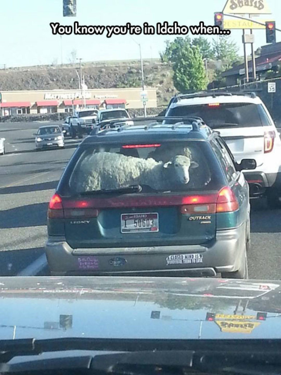 Meanwhile+in+idaho_14db0d_6597017.jpg