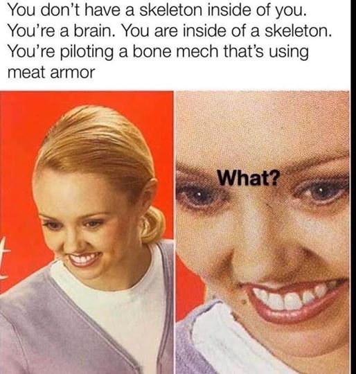 meat-armor.jpg