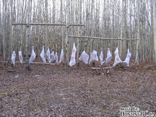 meat pole.jpg