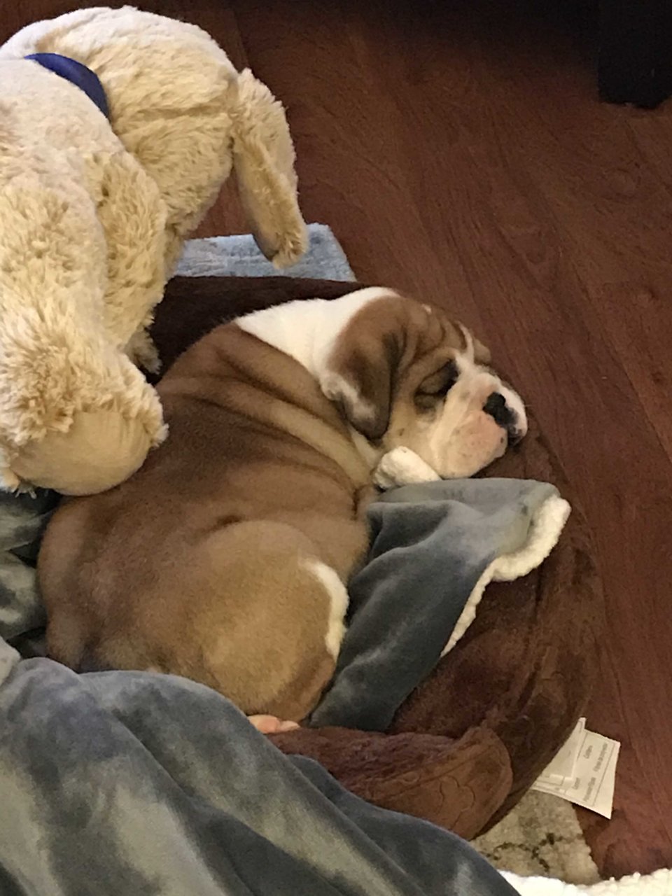 meatball.jpg