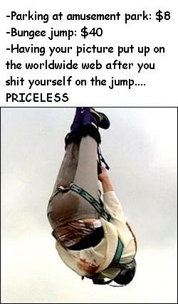 Mediapickle_Presents_bungee_surprise.jpg