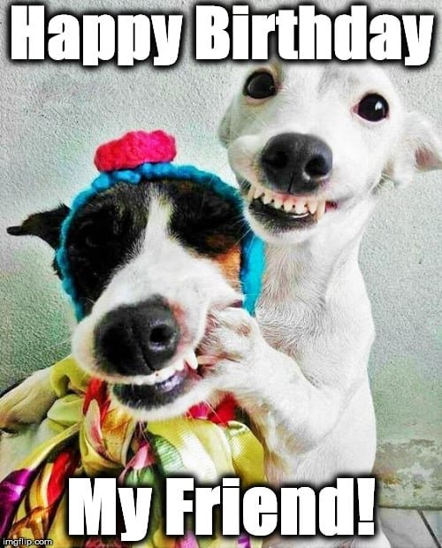 meme-for-birthday-friend.jpg