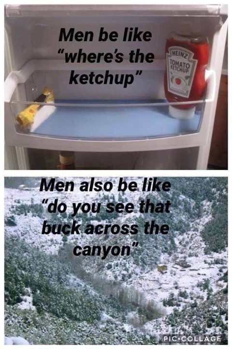 men-where-is-ketchup-in-refrigerator-look-at-buck-across-canyon.jpg