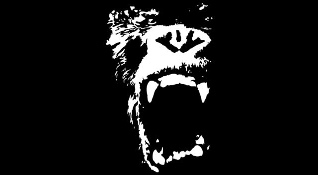 Men20Gorilla20Face2001_cbc250e4ca2de1606d604eb5a0e3d01eb703f146.jpg