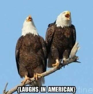 Merica.jpg