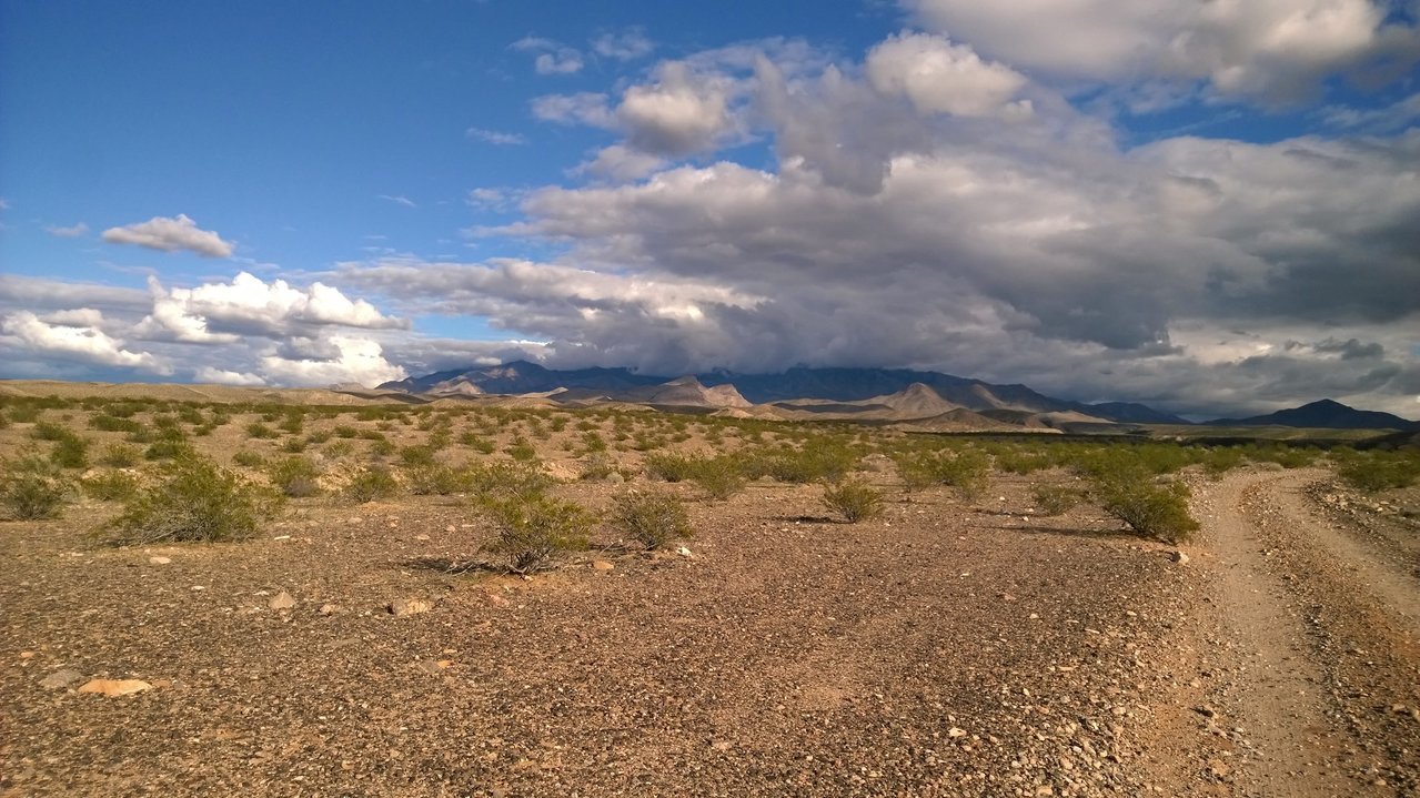 mesquite.march11.2018.looking.east.jpg