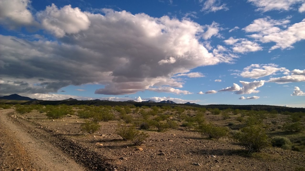 mesquite.march11.2018.looking.southeast.jpg