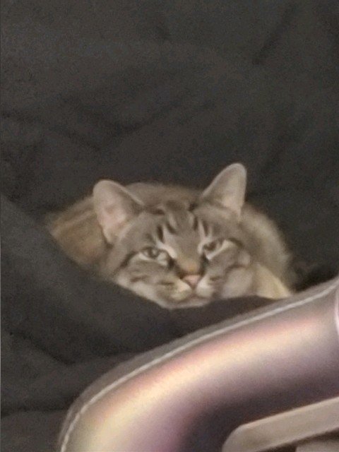Message_1581806505767.jpg